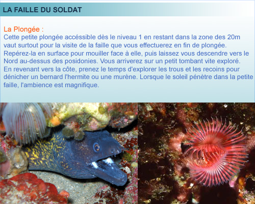 Faille au soldat, ile du Frioul, plongée en provence