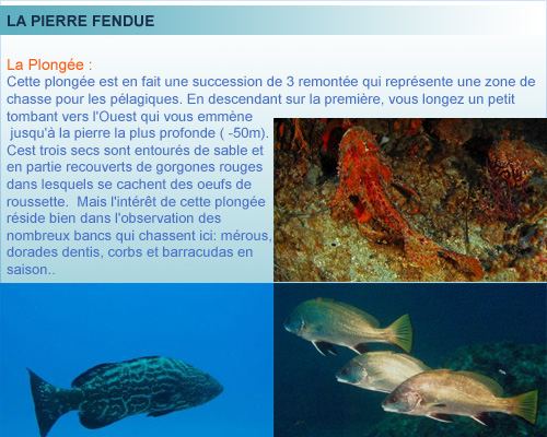 La Pierre Fendue, belle plongée, rade de Marseille, Provence