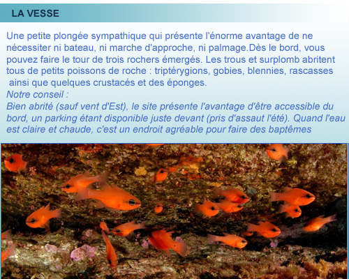 Vesse, belle plongée de la cote bleue en provence