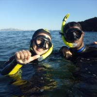 snorling à marseille