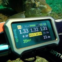 Ap diving inspiration block slider features 2020 underwater