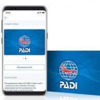 Carte padi 1