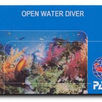 Open Water PADI