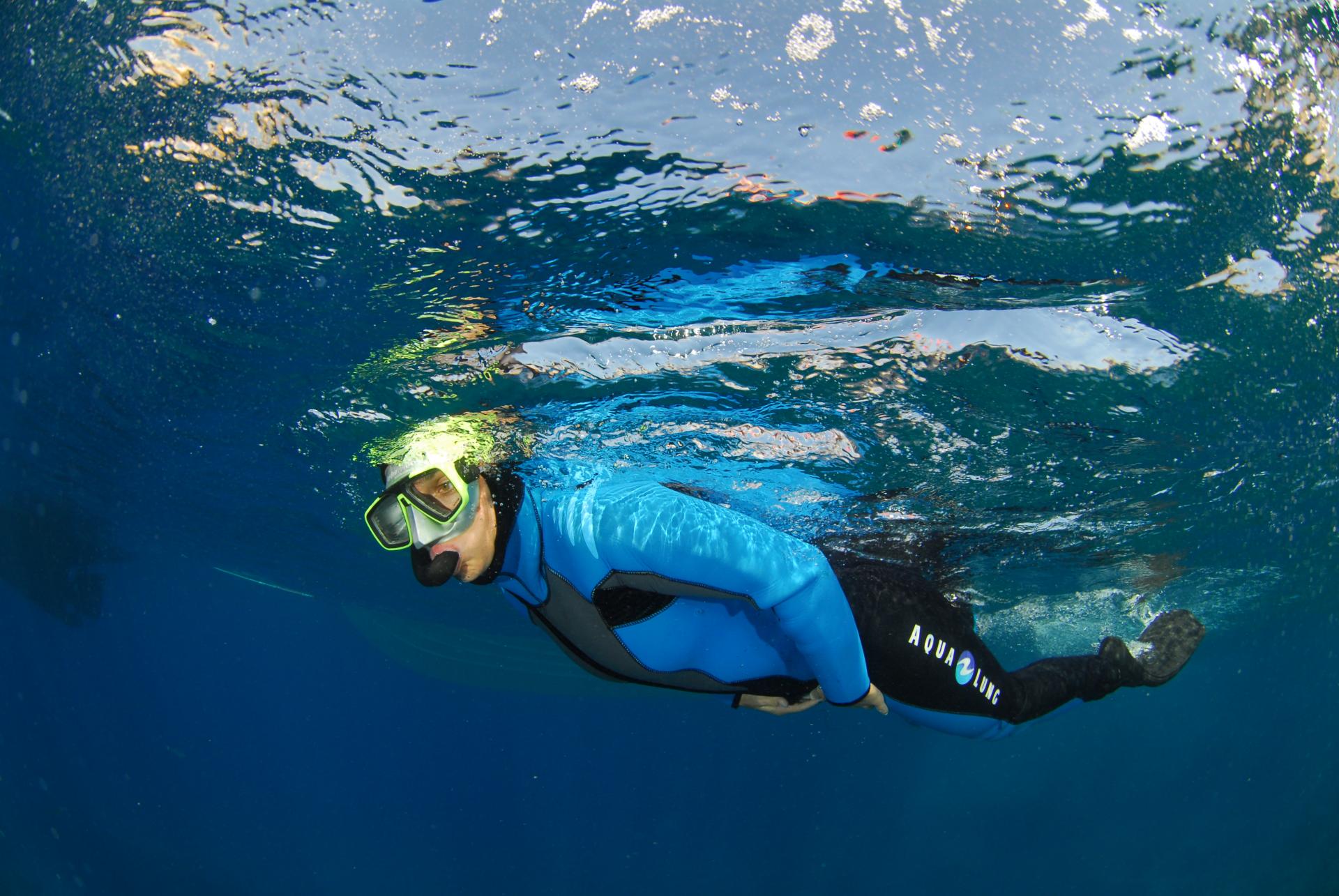 Snorkeling dans la réserve naturelle des iles de Marseille et de carry le rouet