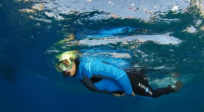 Snorkeling dans la réserve naturelle des iles de Marseille et de carry le rouet