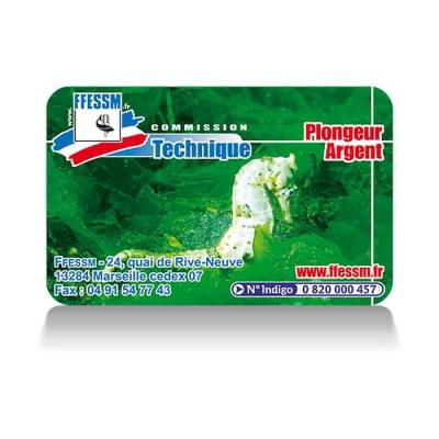 Formation plongeur d'argent