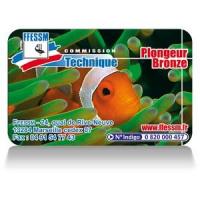 Formation plongeur bronze