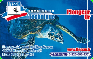 Formation plongeur d'or