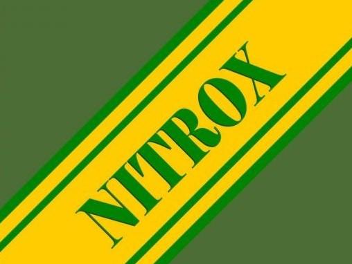 Logo plongeur nitrox 1