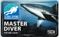 Master diver