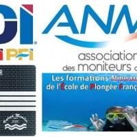 N4 anmp divemaster padi sdi