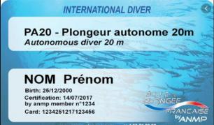 PA20m ANMP