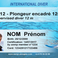 Pe12