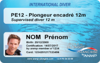 PE12