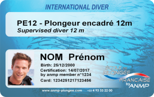 PE12