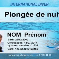 Plongee de nuit avec photo 2017