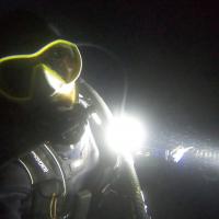 Plongee de nuit