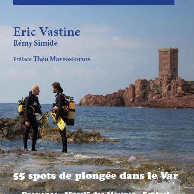Plonger du bord var