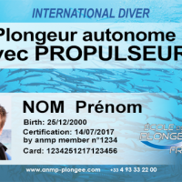 Propulseur sous marin anmp