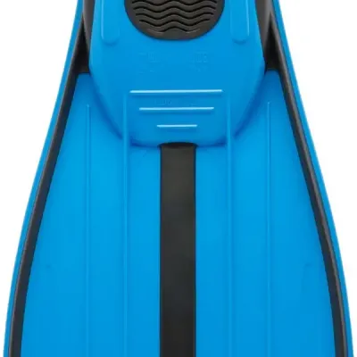 Rondinella blue 5 web