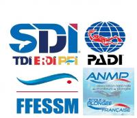 Sdi padi ffessm anmp