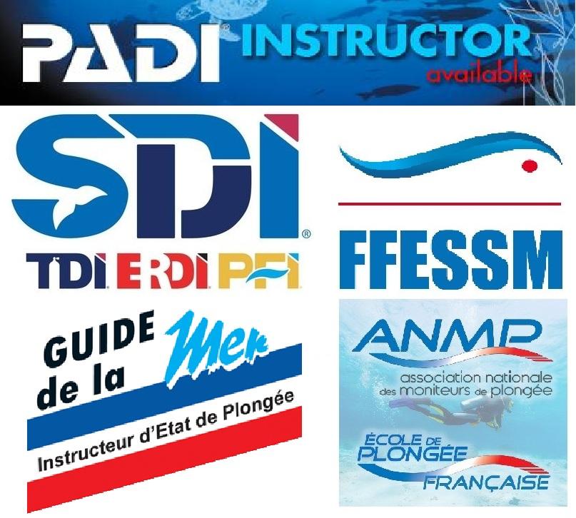 Organisations de plongée sous-marine
