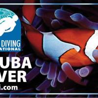 Sdi scuba diver