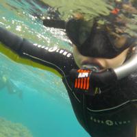 Snorkeling en provence